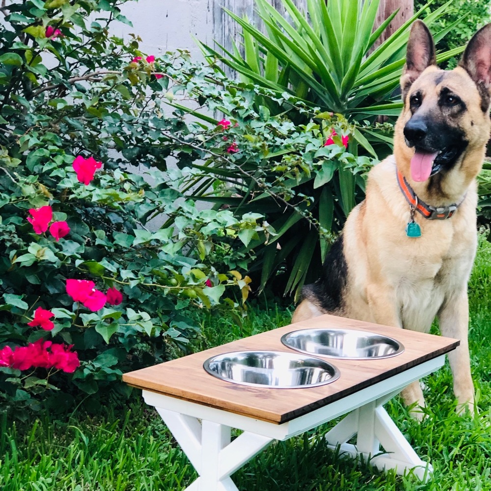 Raised Pet Feeder Stand